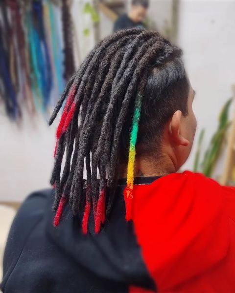 Extensiones de rastas