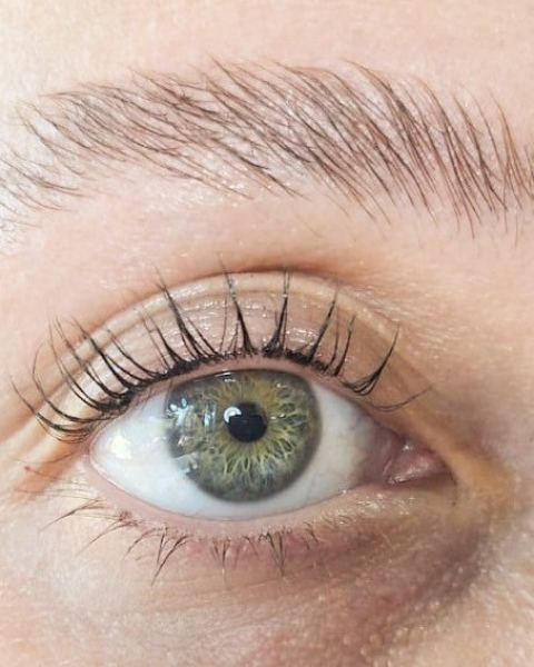 Laminado de cejas
