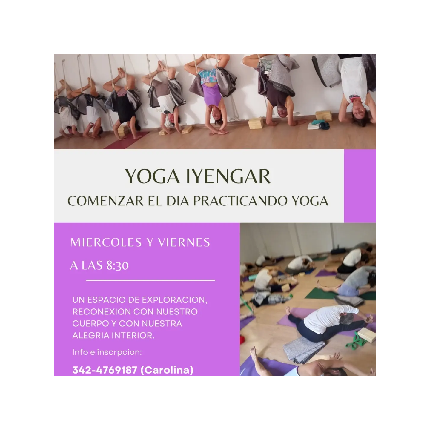 Yoga Iyengar por la mañana