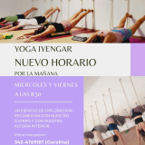 Yoga Iyengar por la mañana