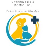 Consultas veterinarias a domicilio