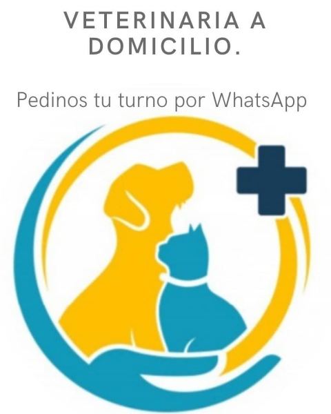 Consultas veterinarias a domicilio