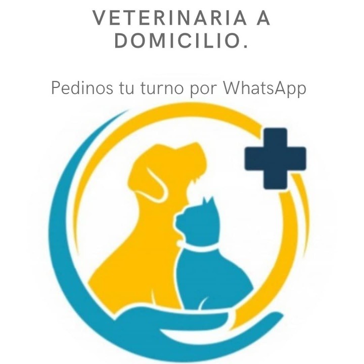 Consultas veterinarias a domicilio