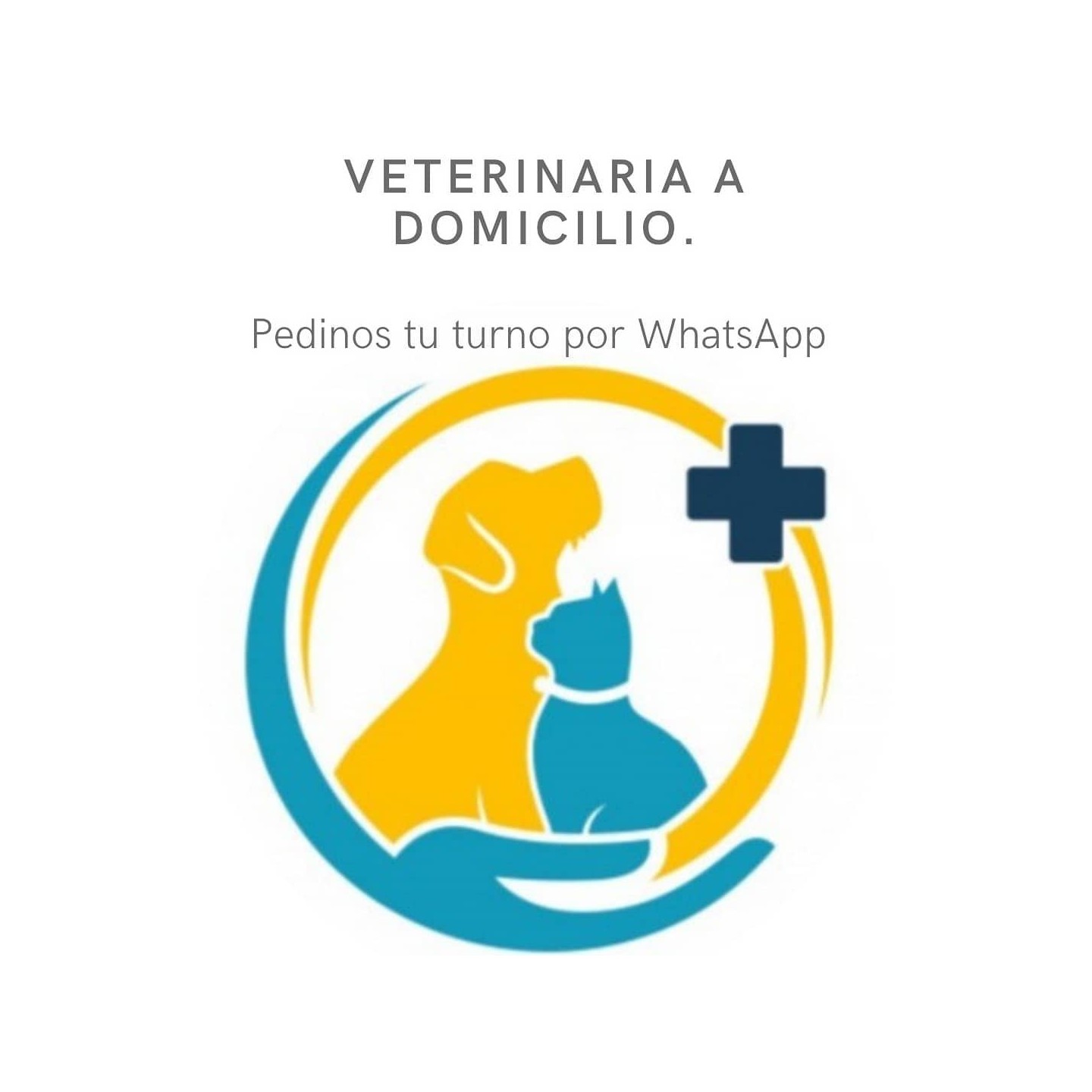Consultas veterinarias a domicilio