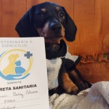 Vacunación y desparasitación a domicilio