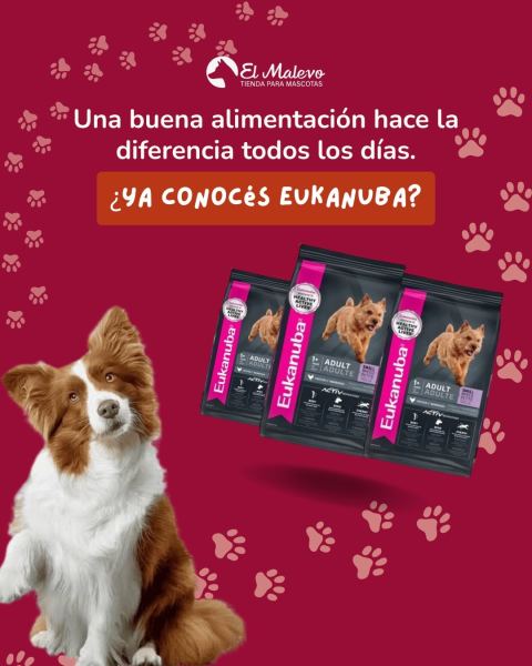 Alimento Eukanuba para perros y gatos