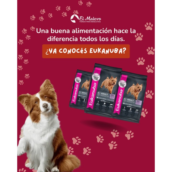 Alimento Eukanuba para perros y gatos