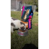 Alimento Eukanuba para perros y gatos