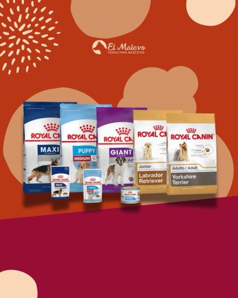 Alimento Royal Canin para gatos