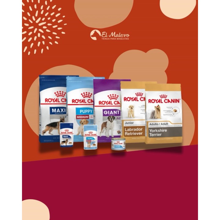 Alimento Royal Canin para gatos