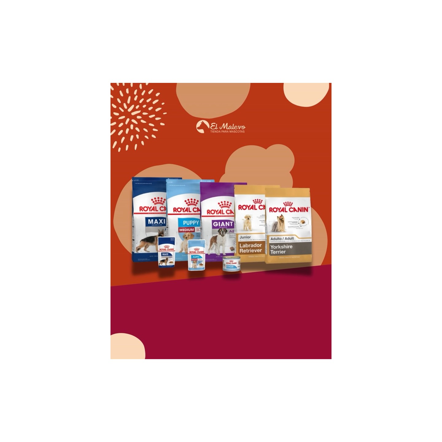 Alimento Royal Canin para gatos