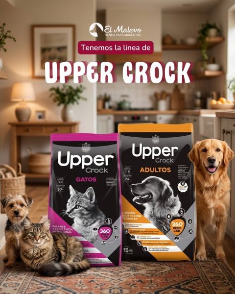 Alimento Upper Crock