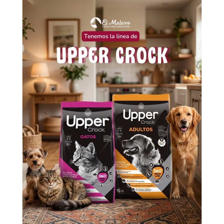 Alimento Upper Crock