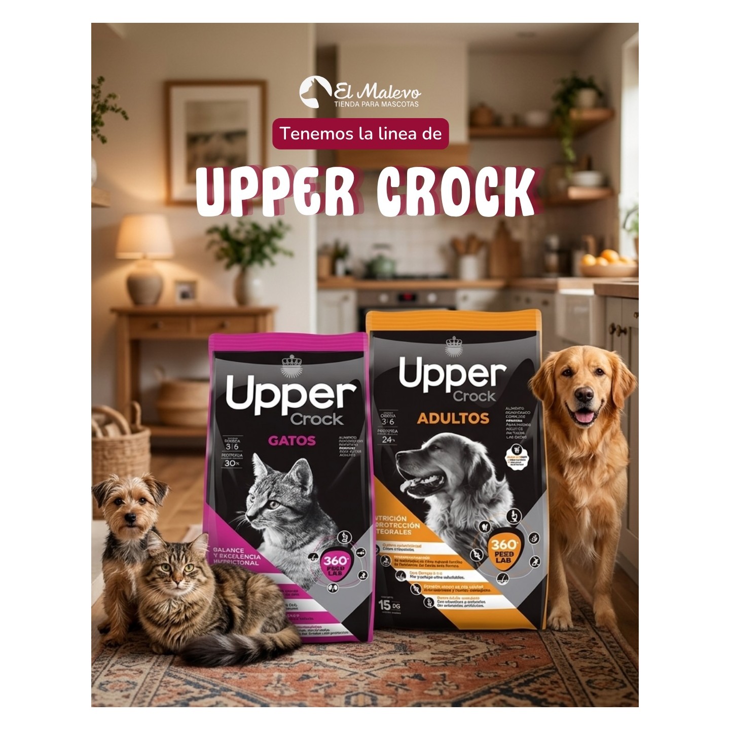 Alimento Upper Crock