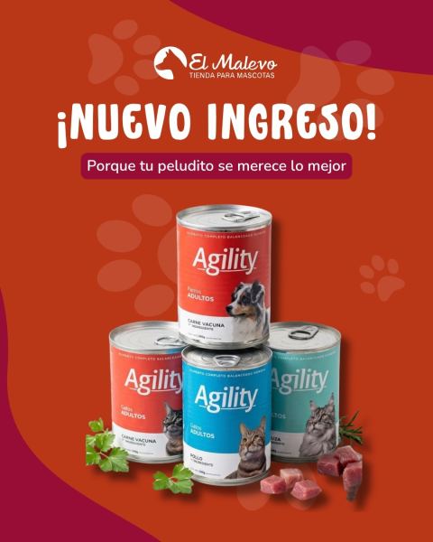 Alimento húmedo