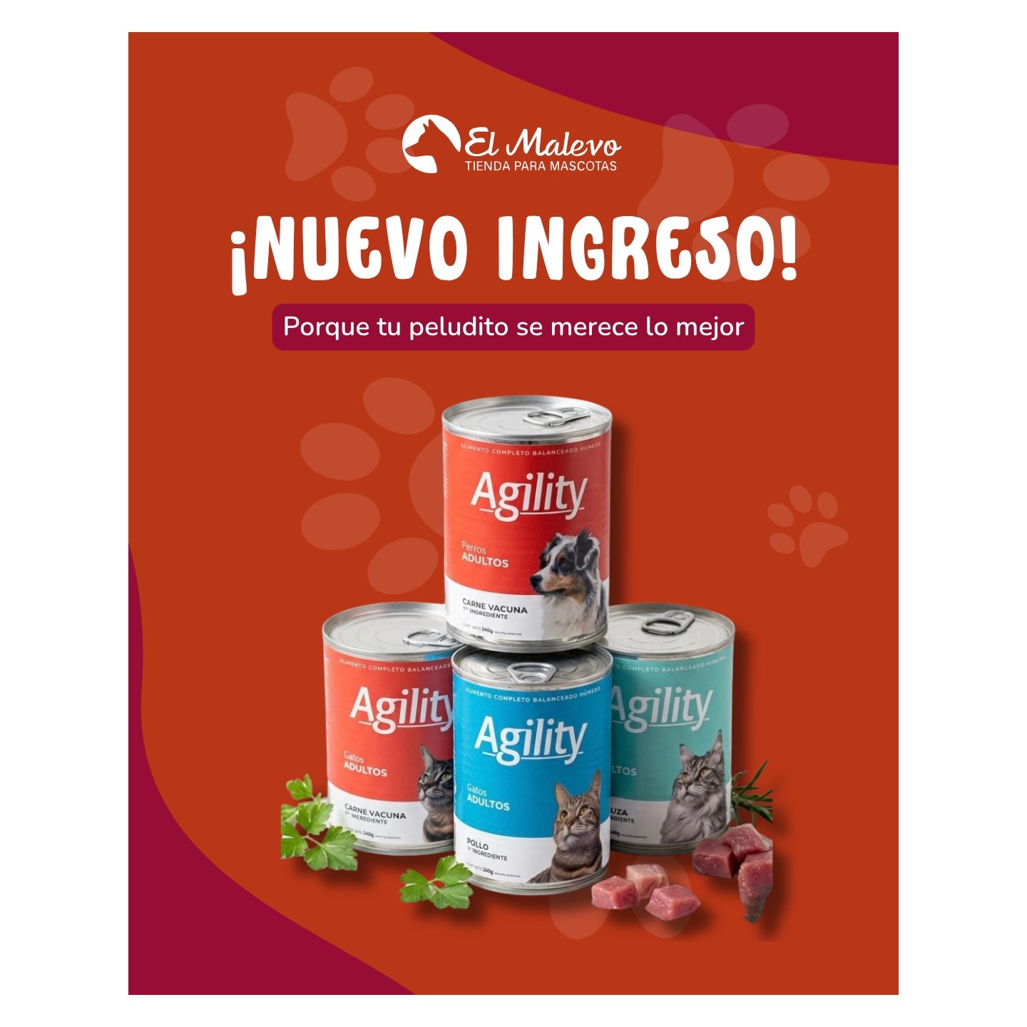 Alimento húmedo