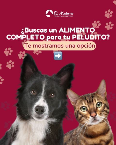 Alimentos balanceados y sueltos