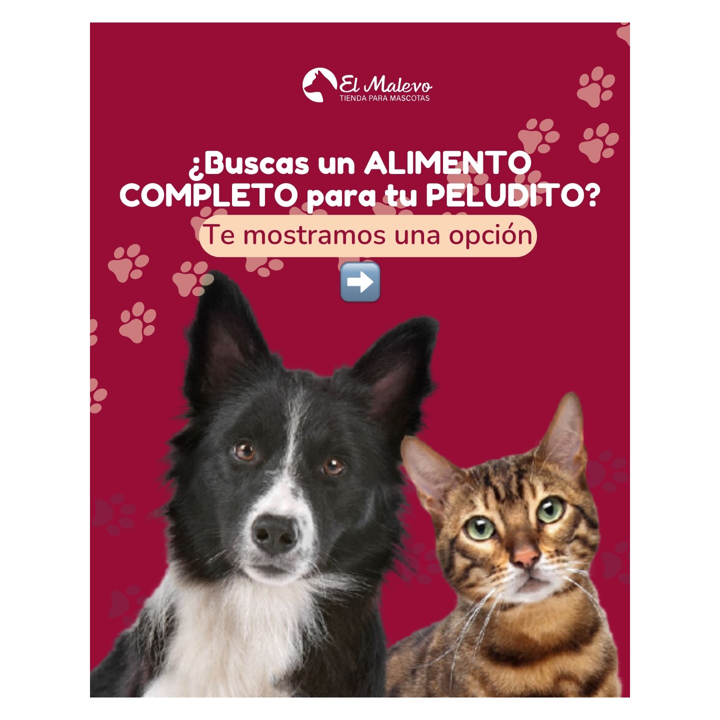 Alimentos balanceados y sueltos