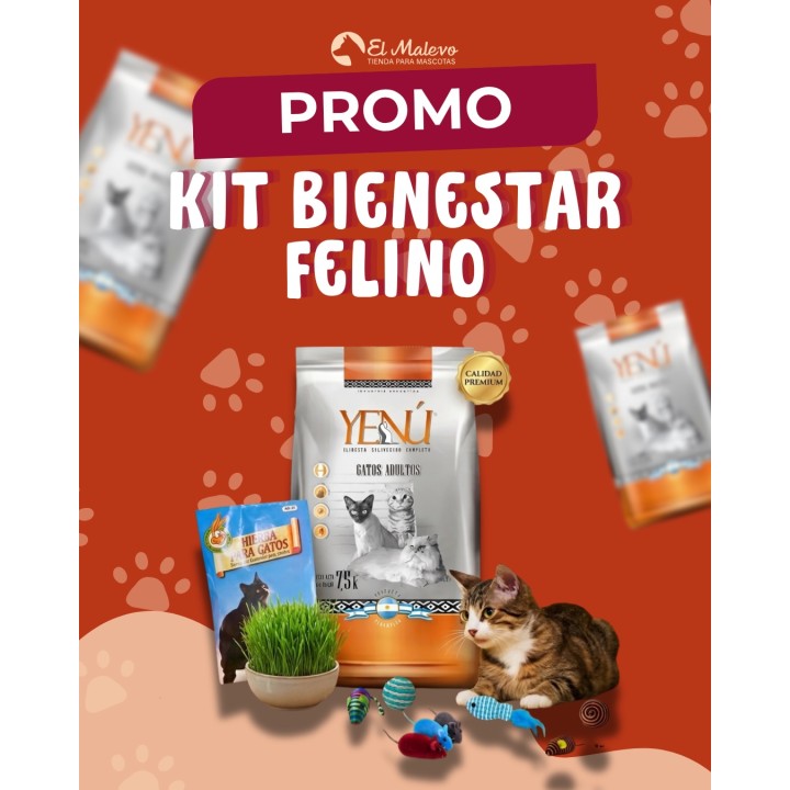 Kits para gatos y kits de cuidado