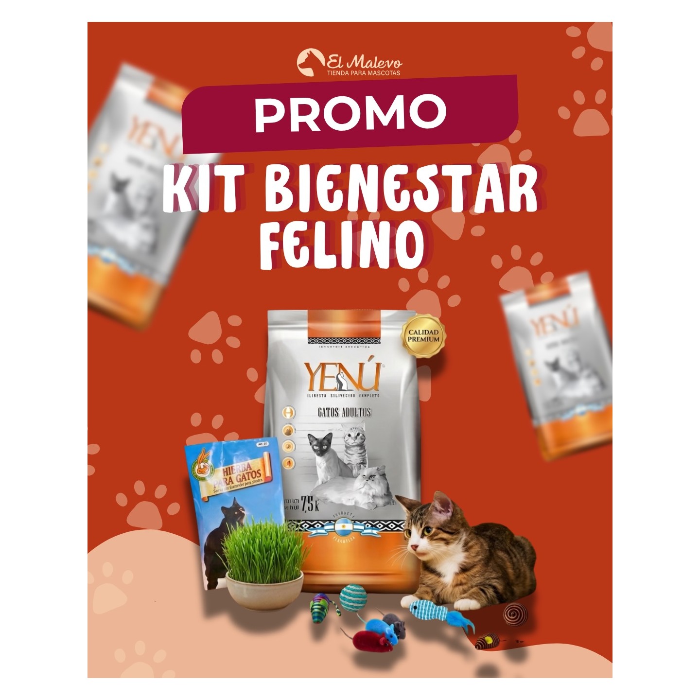 Kits para gatos y kits de cuidado