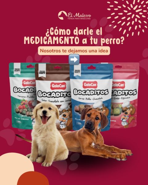 Golocan para dar medicamentos