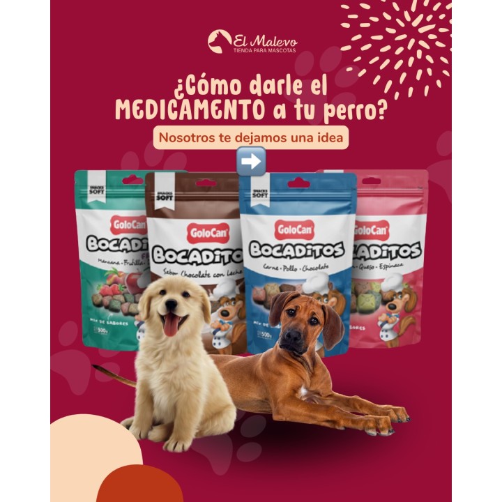 Golocan para dar medicamentos