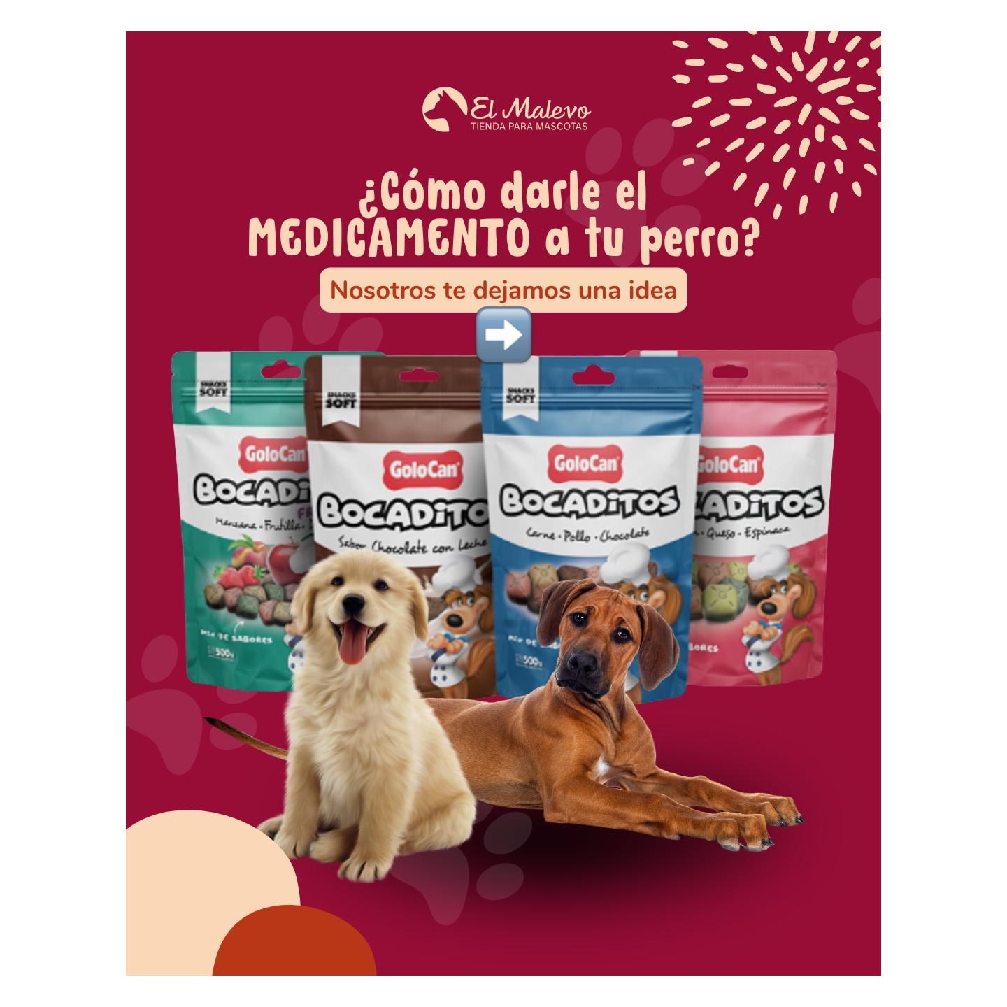 Golocan para dar medicamentos
