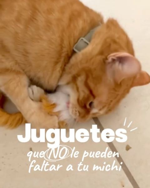 Juguetes para gatos