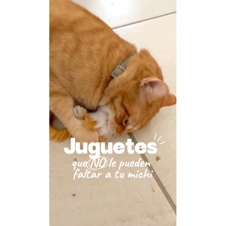 Juguetes para gatos