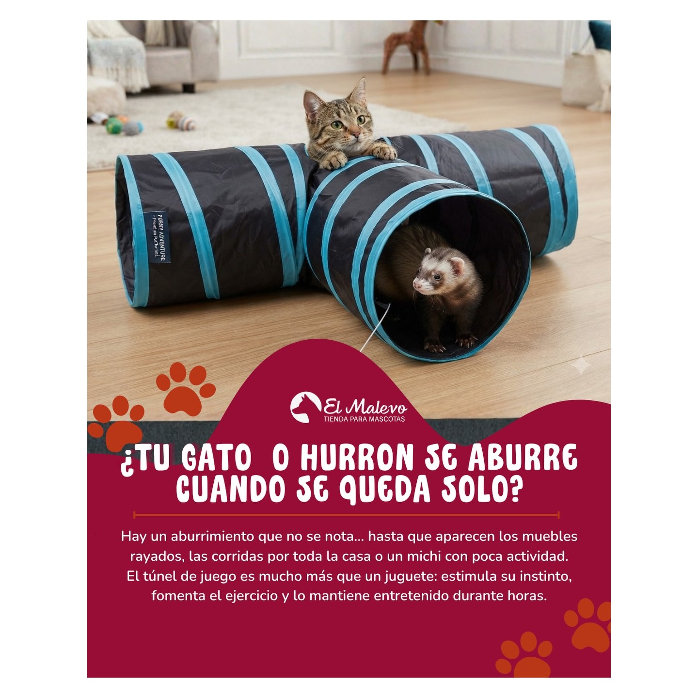 Juguetes para gatos