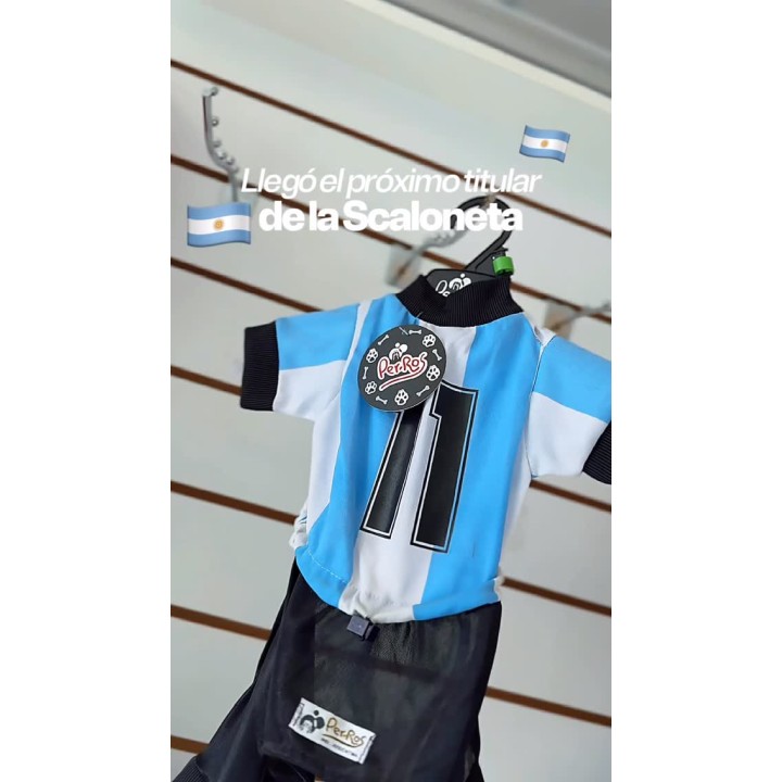 Abrigos y camisetas para mascotas