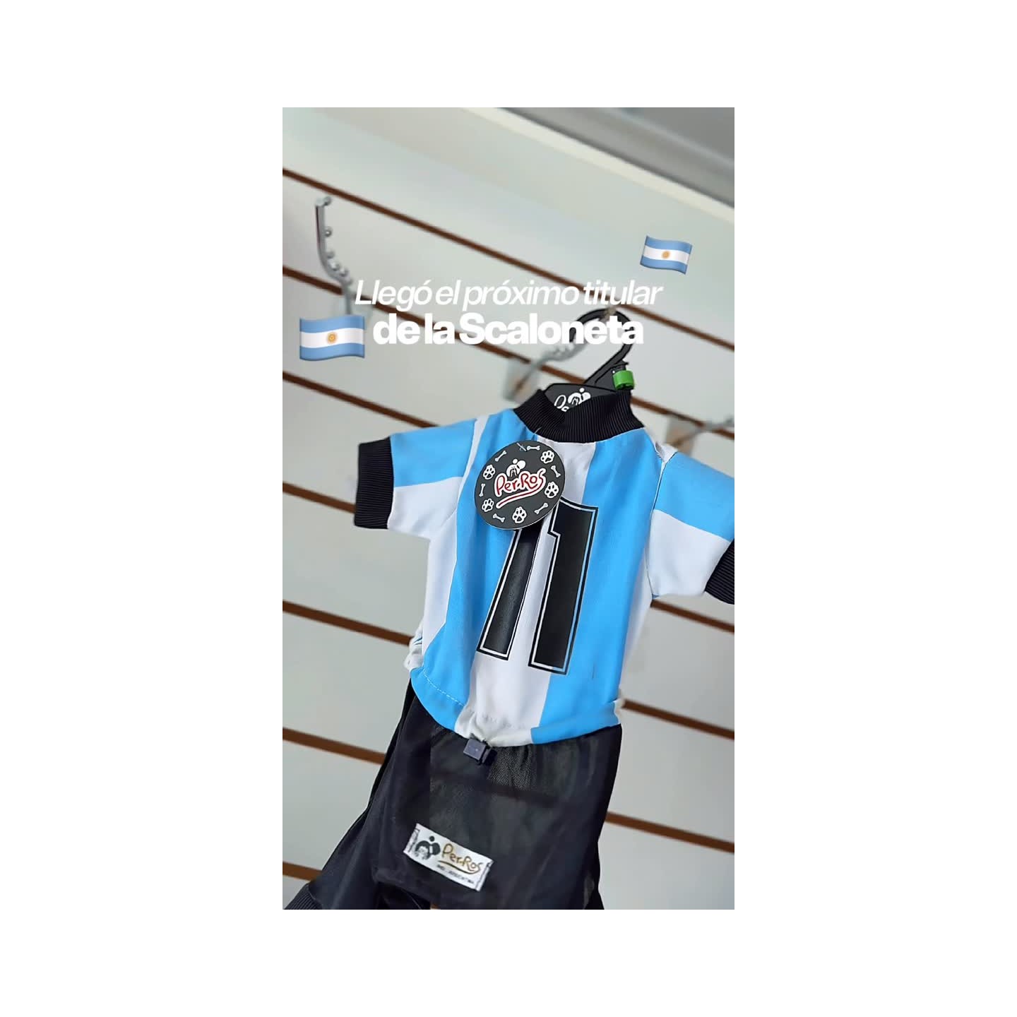 Abrigos y camisetas para mascotas