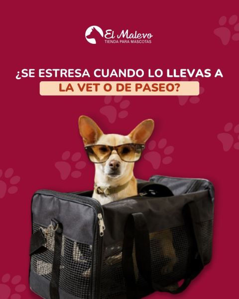 Transportadoras