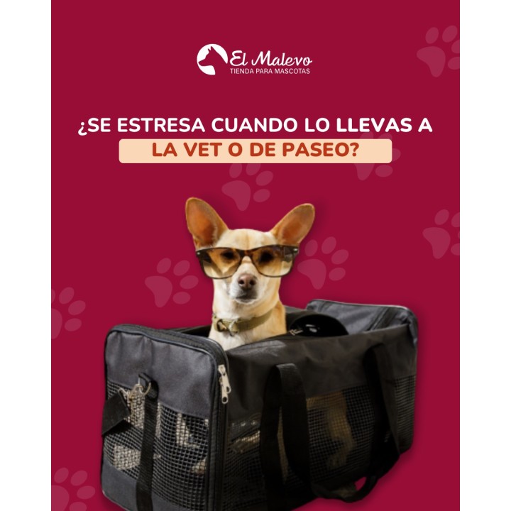 Transportadoras