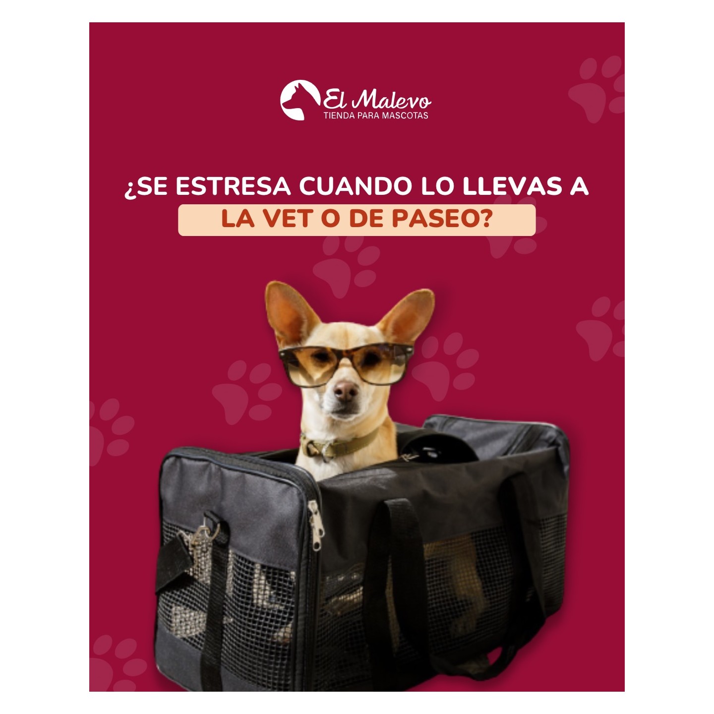 Transportadoras