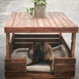 Cuchas para mascotas