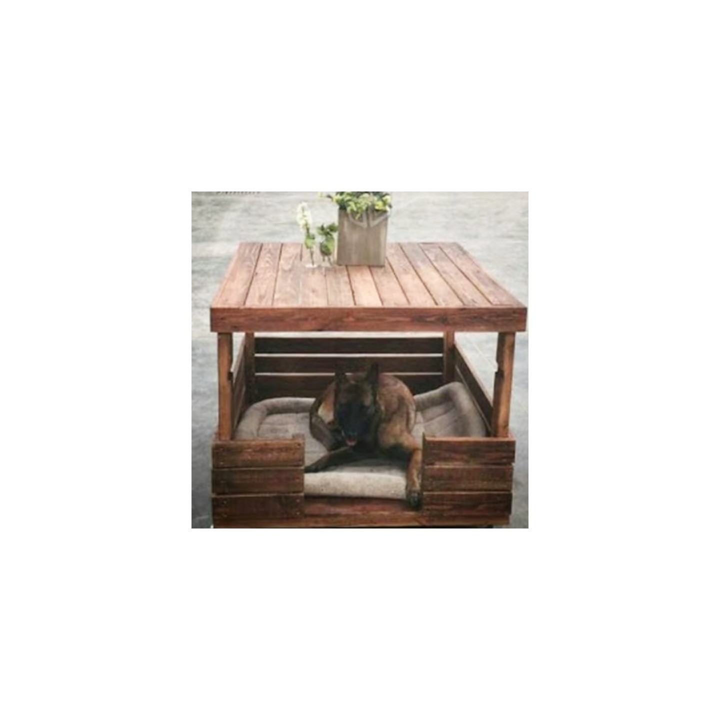 Cuchas para mascotas
