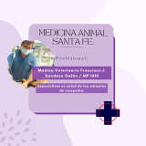 Consulta veterinaria para perros y gatos