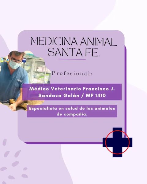 Consulta veterinaria para perros y gatos