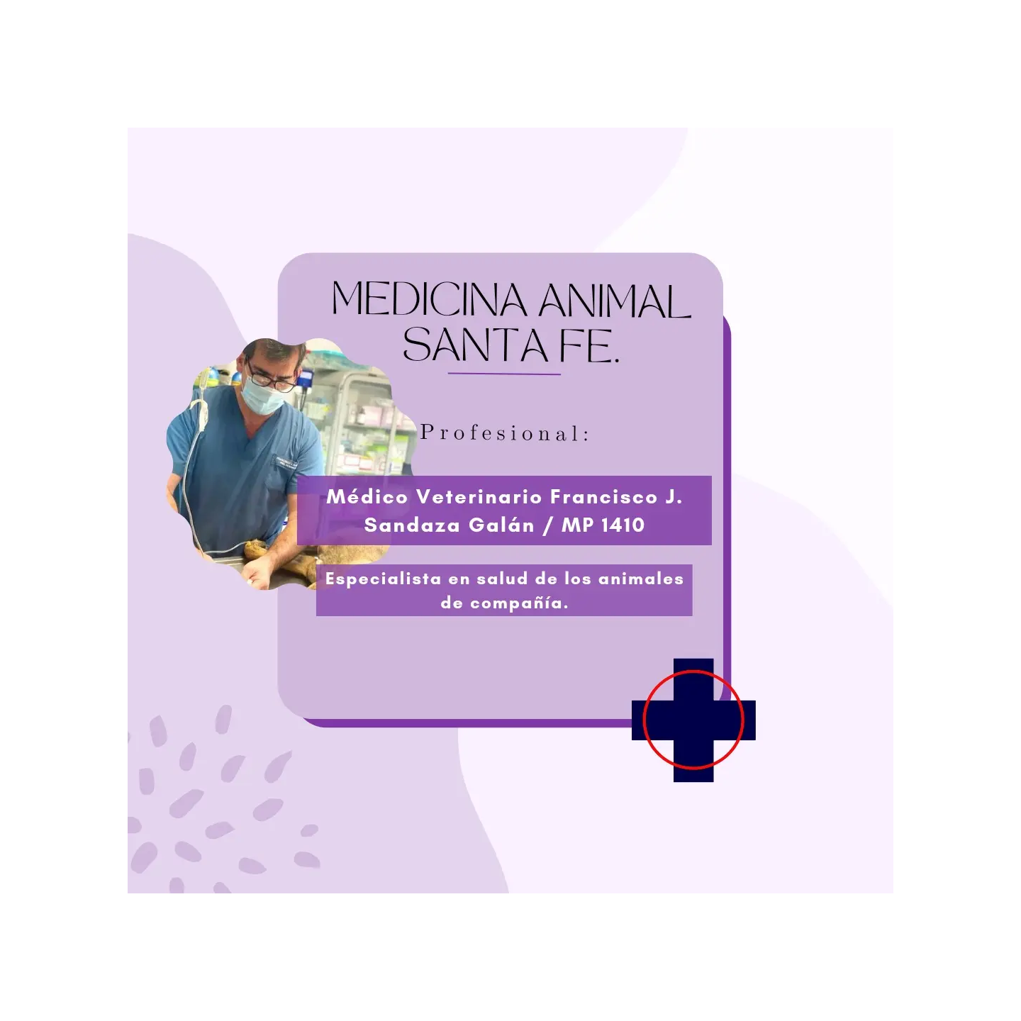 Consulta veterinaria para perros y gatos
