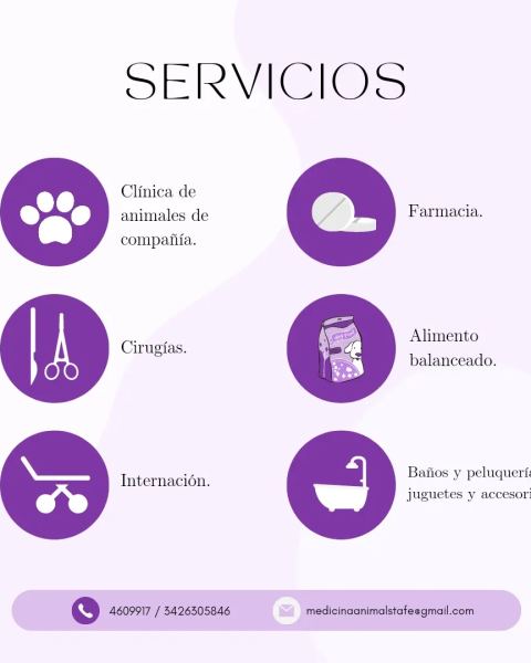 Baño y peluquería para mascotas