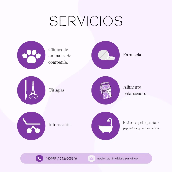 Baño y peluquería para mascotas