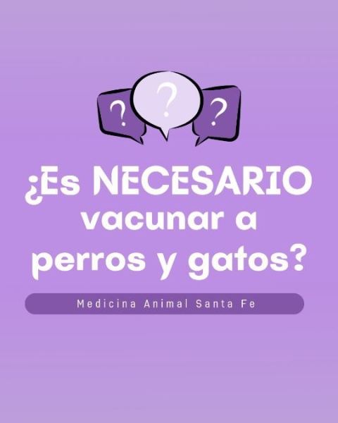 Vacunación de perros y gatos