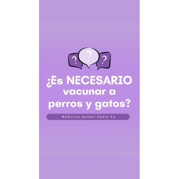 Vacunación de perros y gatos