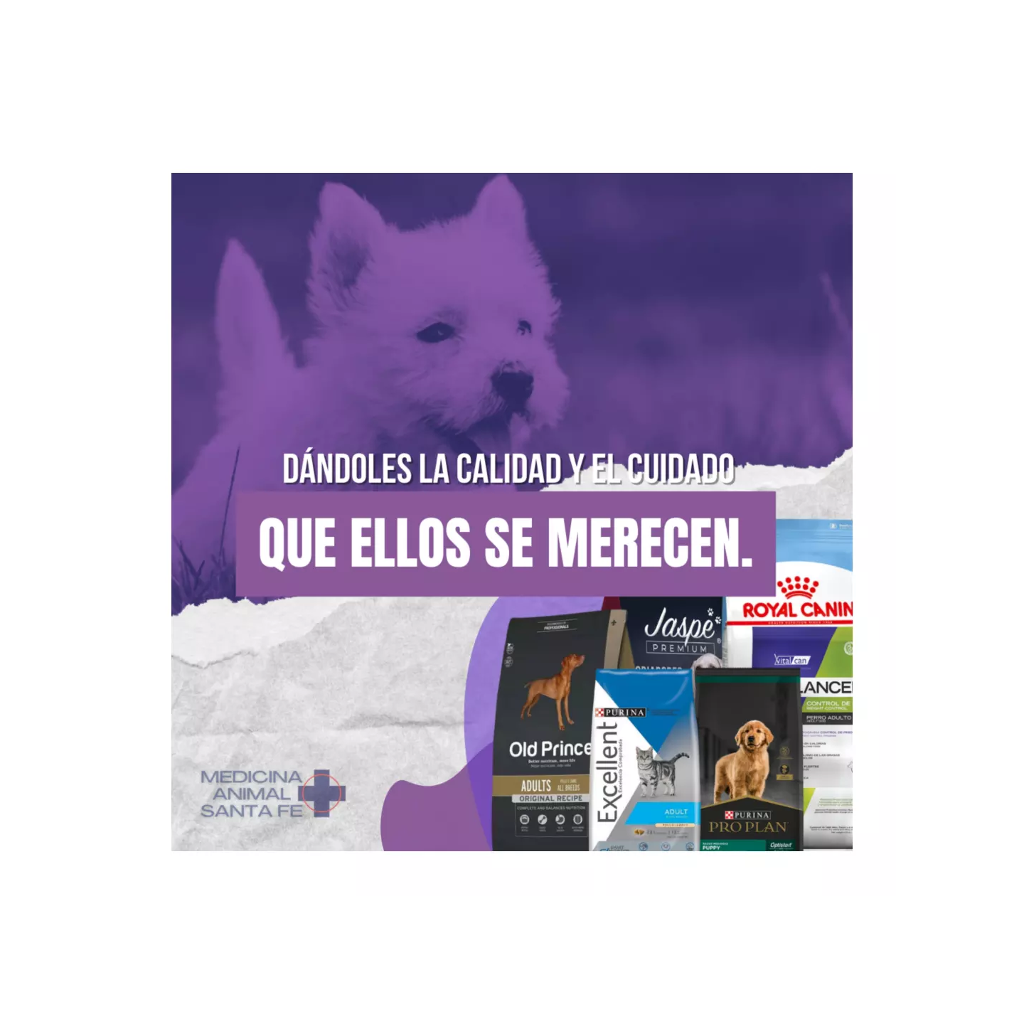 Alimentos para mascotas