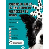 Consulta y controles veterinarios