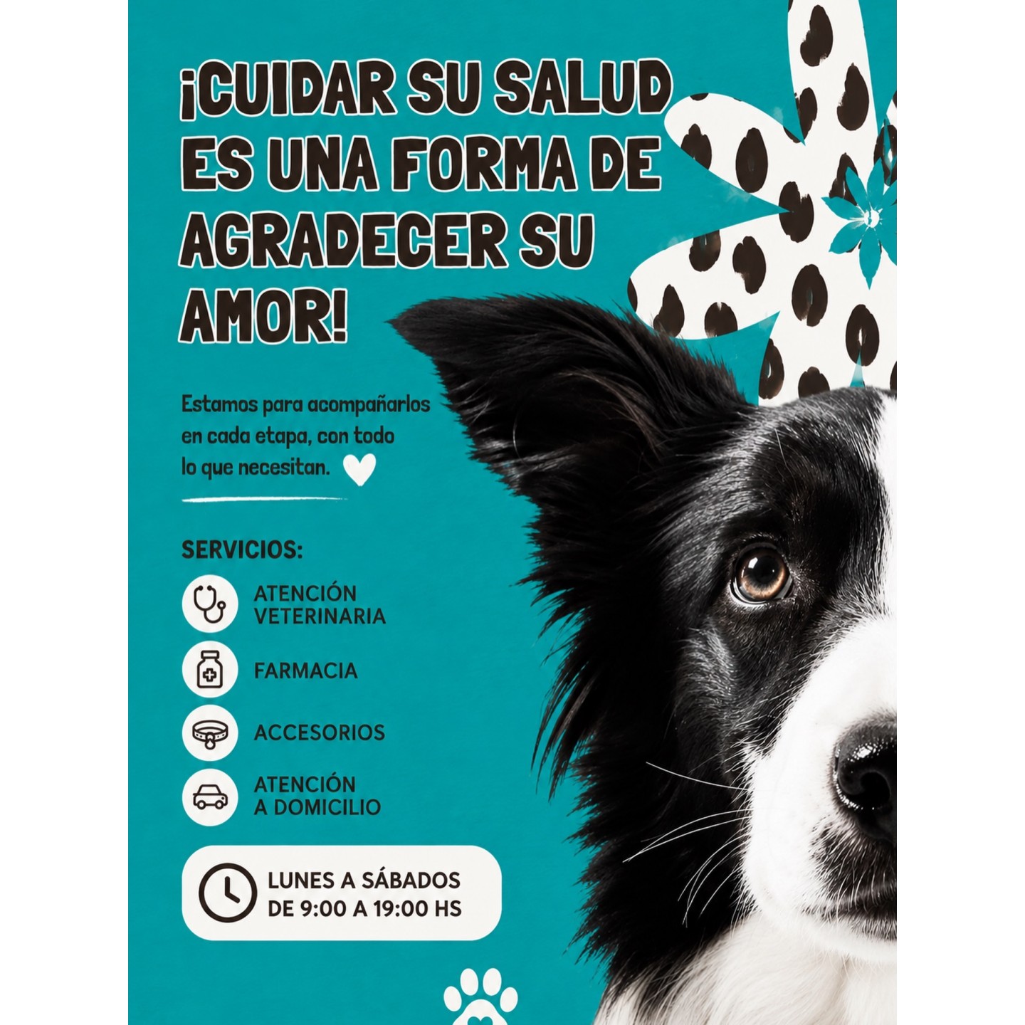 Consulta y controles veterinarios
