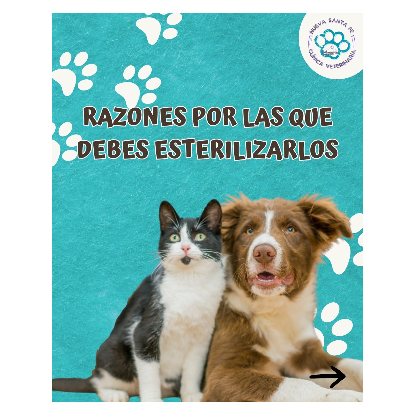 Asesoramiento sobre esterilización