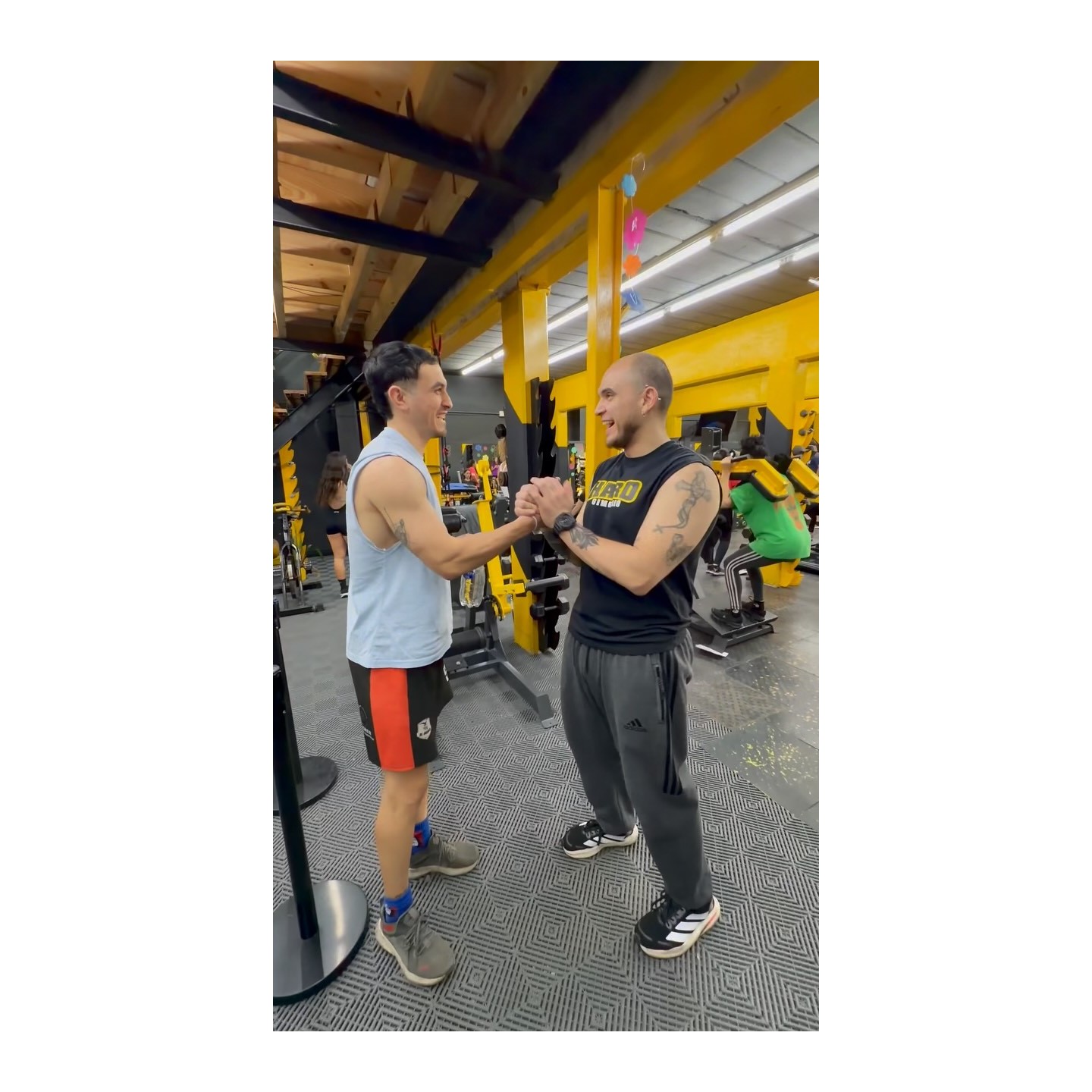 Musculación