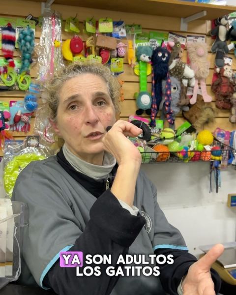 Vacunación de mascotas